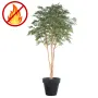 BUCIDA artificiel 330 cm  ANTI FEU dans un pot