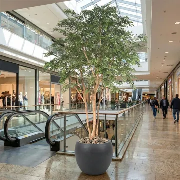 BUCIDA artificiel 330 cm  ANTI FEU