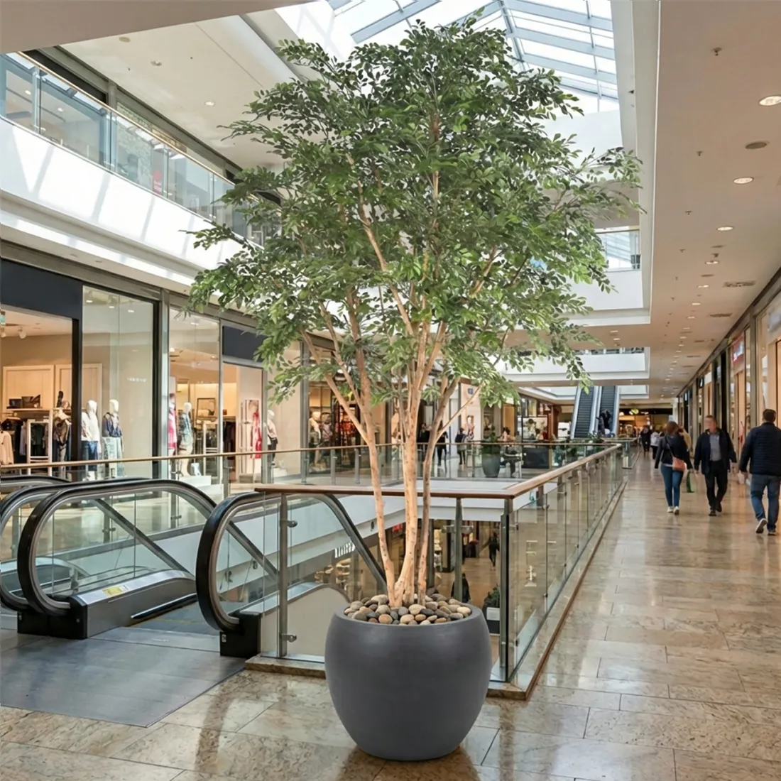 BUCIDA artificiel 330 cm  ANTI FEU