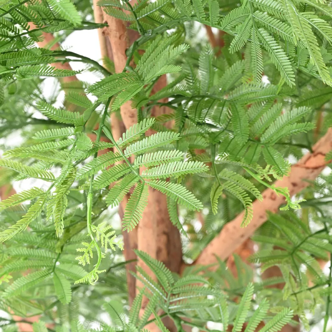 TAMARIN ( mimosa) artificiel 295 cm  ANTI FEU - détails feuilles
