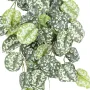 SCINDAPSUS artificiel 75 cm ANTI FEU - détails feuillage