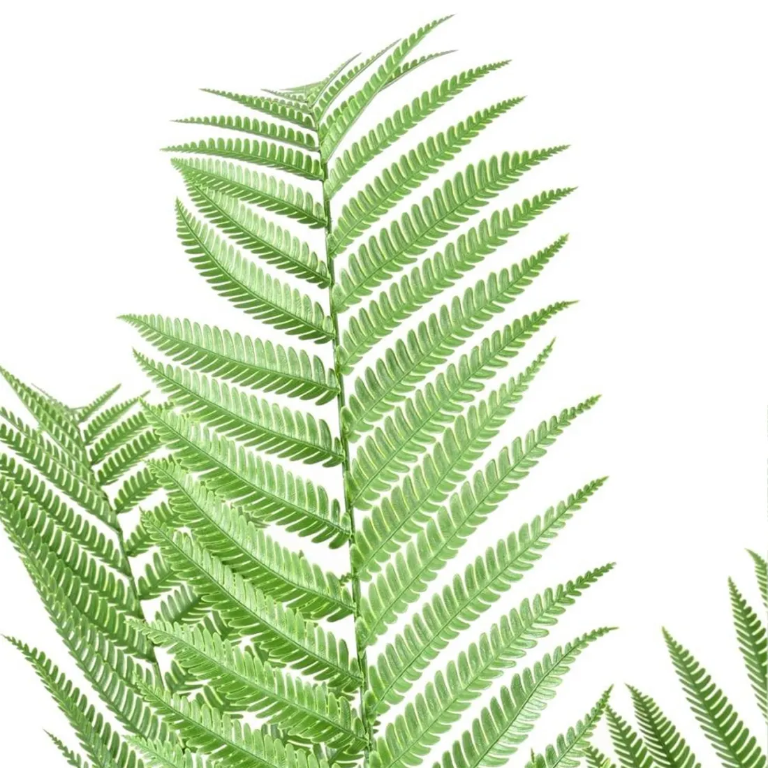 DICKSONIA artificielle 60 cm ANTI FEU - détails feuilles