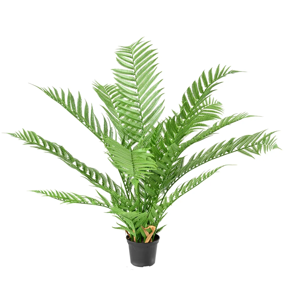 DICKSONIA artificielle 60 cm ANTI FEU face