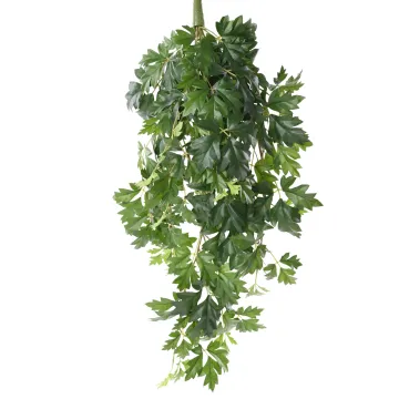 CISSUS artificiel 80 cm ANTI FEU