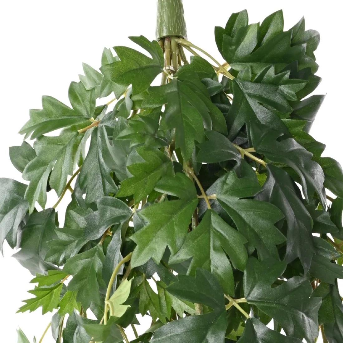 CISSUS artificiel 80 cm ignifugé - feuillage et pic