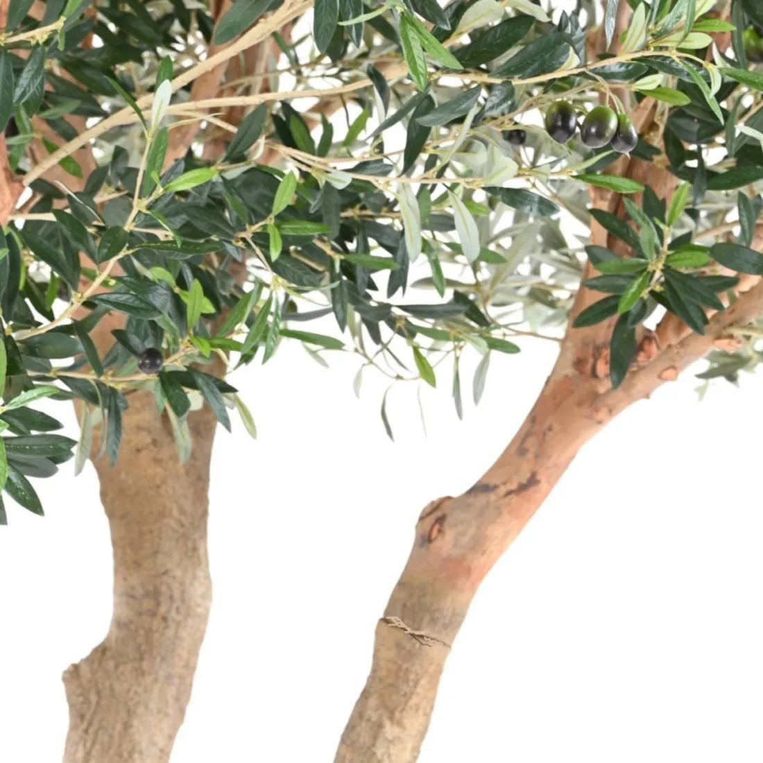 OLIVIER artificiel NEW géant 240 cm (olive noire) ANTI FEU - tronc