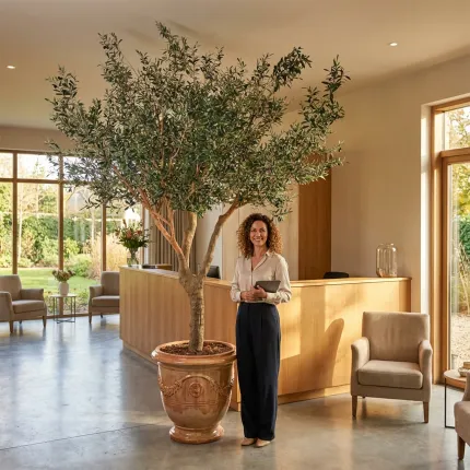 OLIVIER artificiel NEW géant 240 cm (olive noire) ANTI FEU - avec une personne à coté dans un hall d'accueil