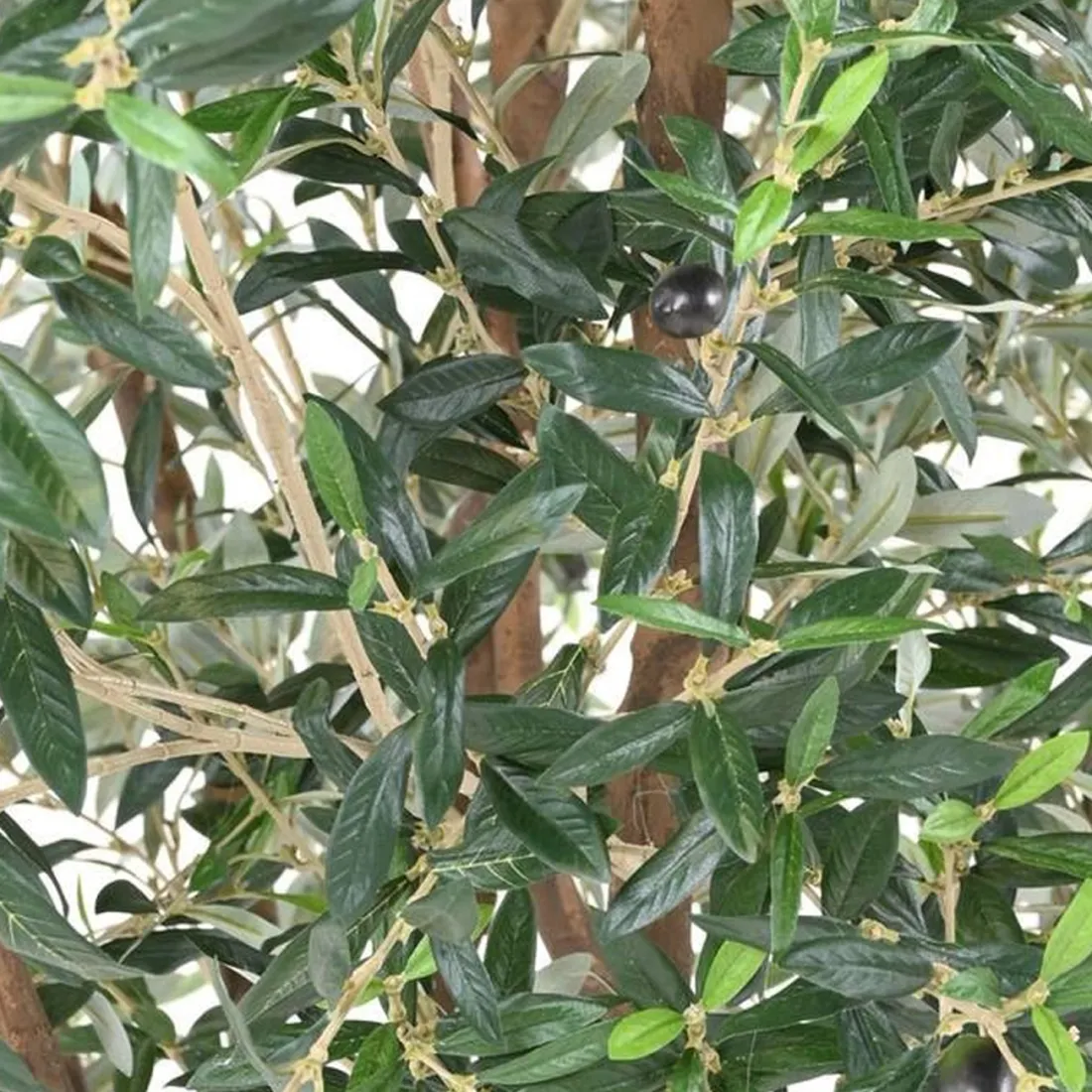 OLIVIER artificiel arbre 270 cm (olive noire) ANTI FEU - détails feuilles
