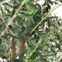 OLIVIER artificiel arbre 270 cm (olive noire) ignifugé - olives