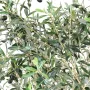 OLIVIER artificiel arbre 270 cm (olive noire) ANTI FEU - feuillage