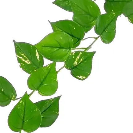 Guirlande de POTHOS artificiel 190 cm anti feu - feuilles