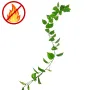 Guirlande de POTHOS artificiel 190 cm ignifugée