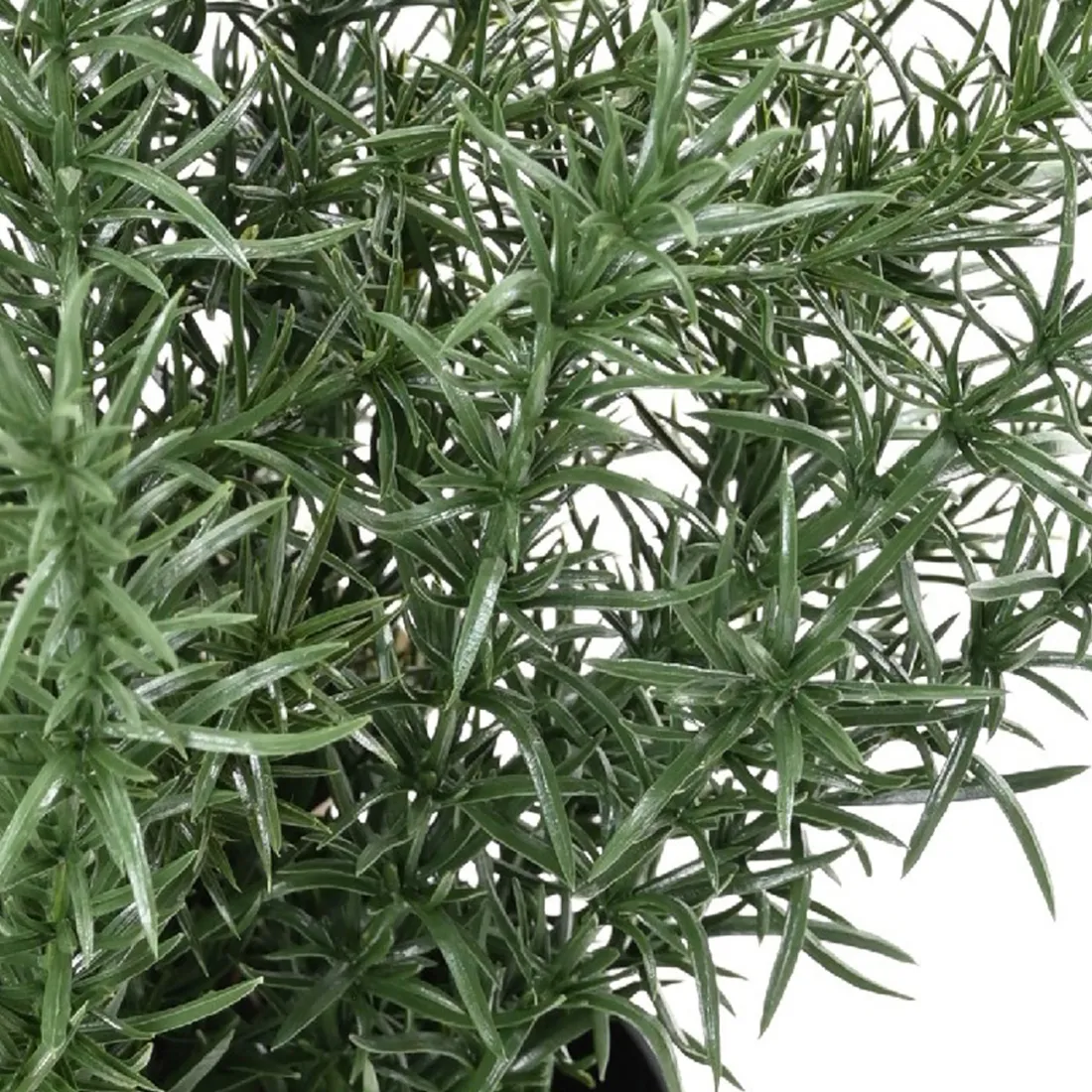 ROMARIN artificiel en pot 35 cm ignifugé - détails brins