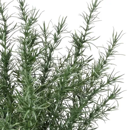 ROMARIN artificiel en pot 35 cm ANTI FEU - détails brins