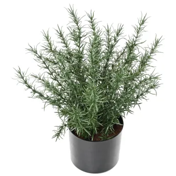 ROMARIN artificiel en pot 35 cm ANTI FEU