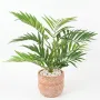 CHAMAEODORA artificiel ou palmier des montagnes 50 cm ANTI FEU