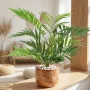 CHAMAEODORA artificiel ou palmier des montagnes 50 cm ANTI FEU dans un salon