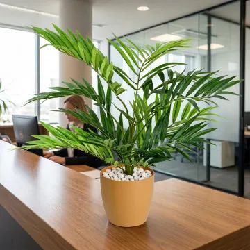 CHAMAEODORA artificiel ou palmier des montagnes 50 cm ANTI FEU dans un  hall d'accueil