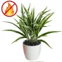 CHLOROPHYTUM artificiel 40 cm ANTI FEU