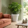 classico prima Ø 30 à 120 cm blanc cassé -   dans un salon grand modèle