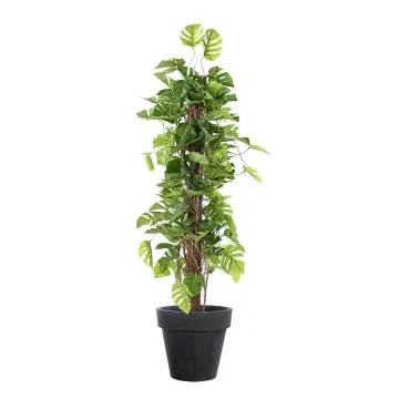 PHILODENDRON artificiel Monstera tuteur coco 180 cm ANTI FEU