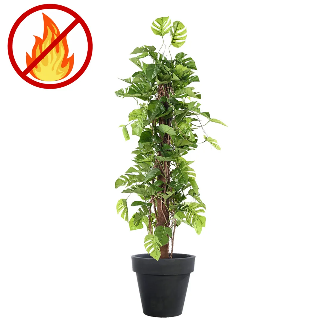 PHILODENDRON artificiel Monstera tuteur coco 180 cm ignifugé