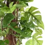 PHILODENDRON artificiel Monstera tuteur coco 180 cm ANTI FEU - tronc