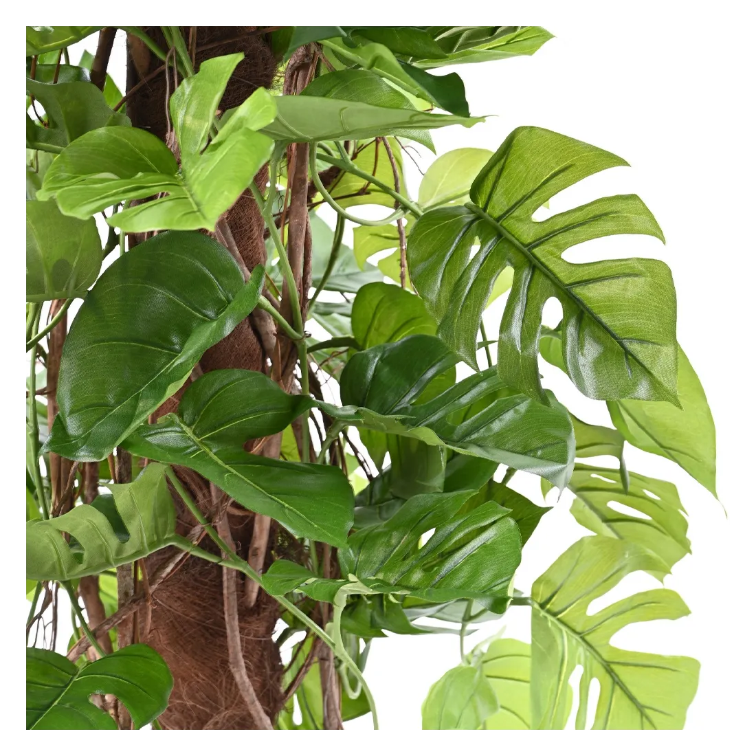 PHILODENDRON artificiel Monstera tuteur coco 180 cm ANTI FEU - tronc