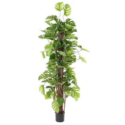 PHILODENDRON artificiel Monstera tuteur coco 180 cm ANTI FEU en pot