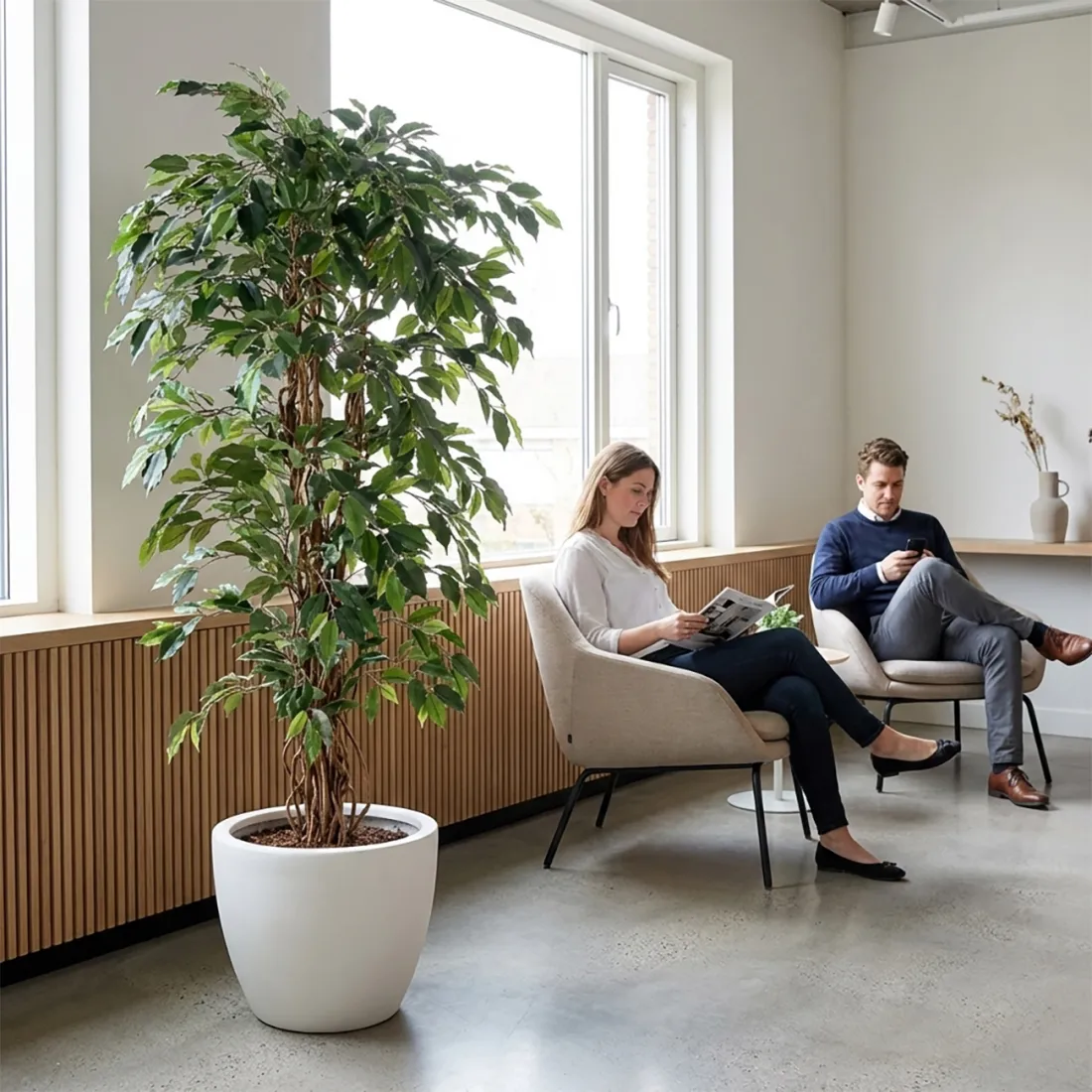 FICUS artificiel benjamina  LIANES Grandes Feuilles  . . . . . 180 cm ANTI FEU