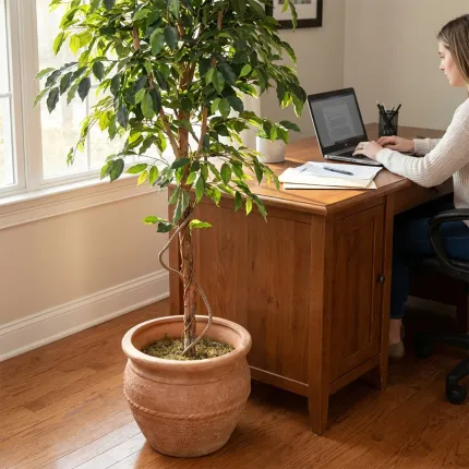 FICUS artificiel TRONC SIMPLE Grandes Feuilles  vert ou vert/crème 120 à 270 cm