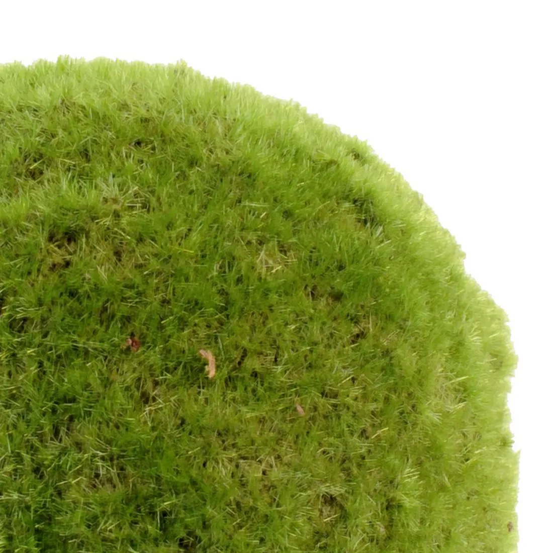 MOUSSE BOULE artificielle diam. 25 et 37cm