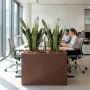 SANSEVIERIA artificiel 93 cm ANTI FEU