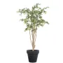 ERABLE artificiel tronc sauvage (Aralia)  180 et 240 cm