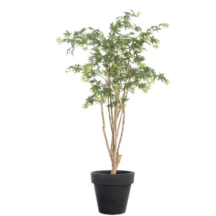 ERABLE artificiel tronc sauvage (Aralia)  180 et 240 cm