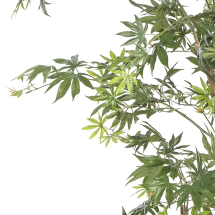 ERABLE artificiel tronc sauvage (Aralia)  180 et 240 cm
