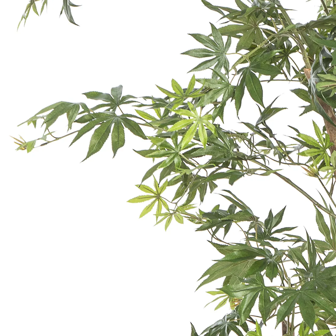 ERABLE artificiel tronc sauvage (Aralia)  180 et 240 cm