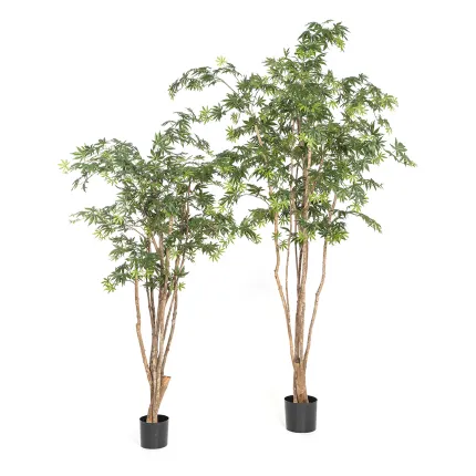 ERABLE artificiel tronc sauvage (Aralia)  180 et 240 cm