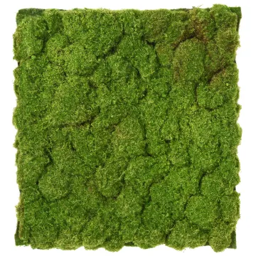 Plaque de mousse artificielle reliefs 50cm x 50 cm