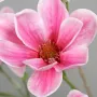 MAGNOLIA artificiel 180 cm - fleurs