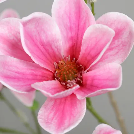 MAGNOLIA artificiel 180 cm - fleurs