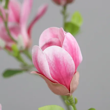 MAGNOLIA artificiel 180cm