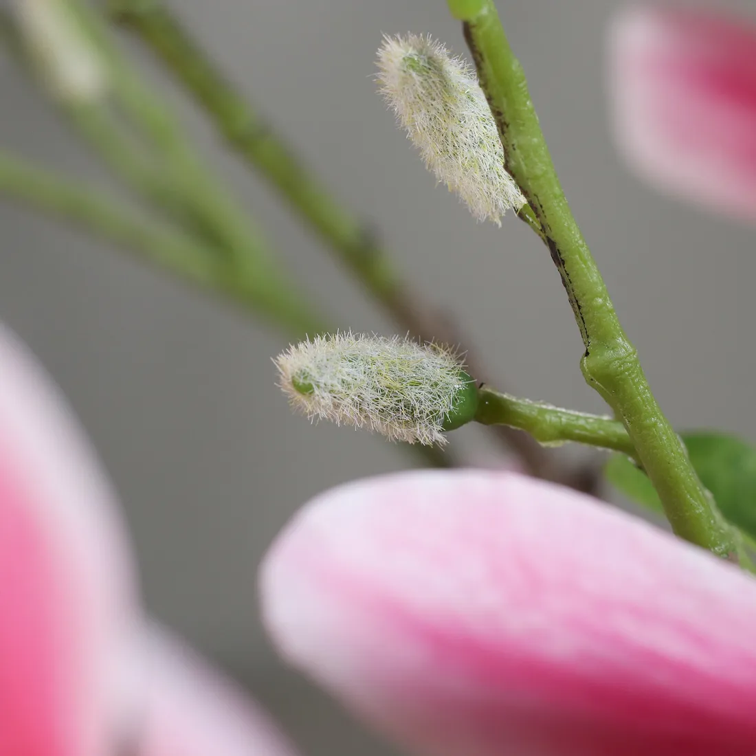 MAGNOLIA artificiel 180 cm graine