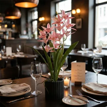 orchidée  cymbidium - dans un restaurant