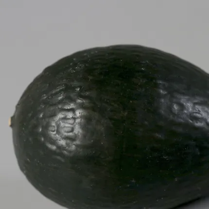 Moitié d'avocat ou AVOCAT entier artificiel 9 cm