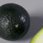 Moitié d'avocat ou AVOCAT entier artificiel 9 cm