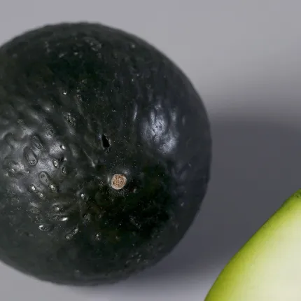 Moitié d'avocat ou AVOCAT entier artificiel 9 cm