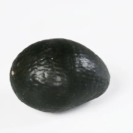 Moitié d'avocat ou AVOCAT entier artificiel 9 cm