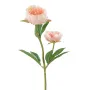 PIVOINE artificielle 60 cm  pèche