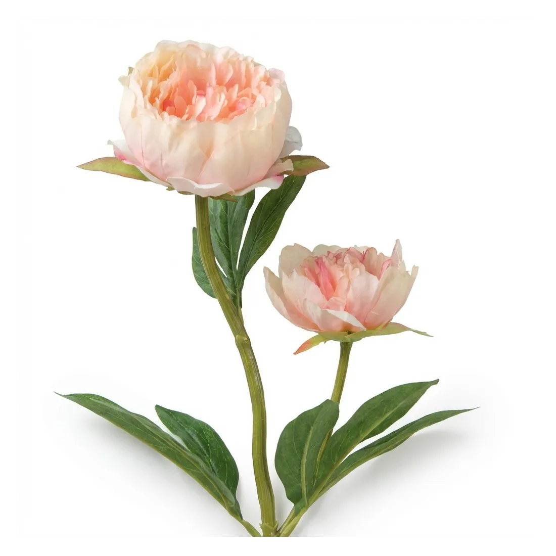 PIVOINE artificielle 60 cm - pèche